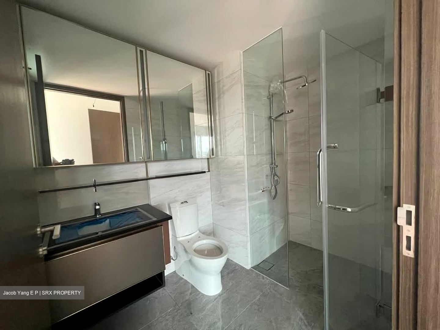 Normanton Park (D5), Apartment #537475451